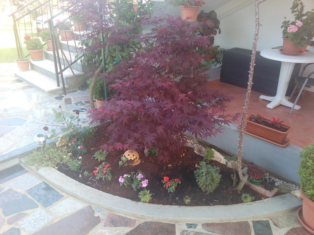 Apartment Gogo Umag Extérieur photo